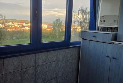 Apartament cu 2 camere decomandat în Șelimbăr - 8