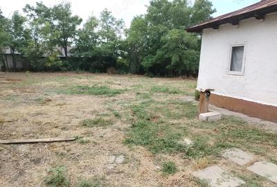 Casă cu 3 camere cu Teren 1250 Mp în Glodeanu-Siliștea - 9