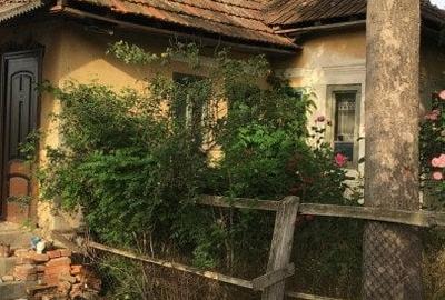 Casă individuală cu 2 camere în Stângăceaua - 2