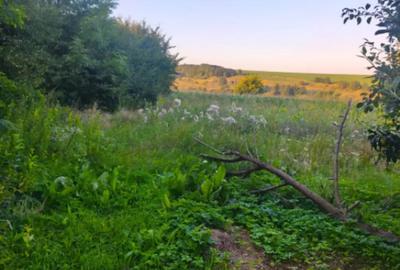 Casă cu 2 camere cu Teren 3500 Mp în Negostina - 3