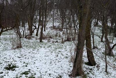 Casă cu 3 camere în Drăgoești - 2