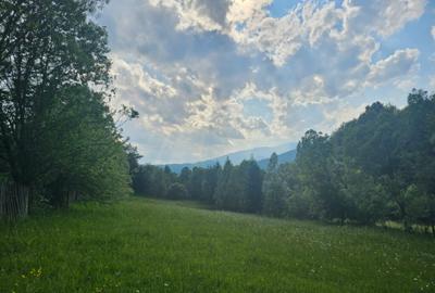 TEREN DE VANZARE APROAPE DE PADURE - 9