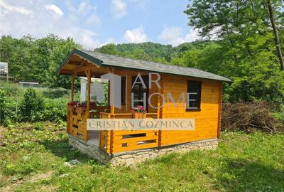 Teren cu constructii Cosmina de Sus - Foisor, baie, cabanuta - 7