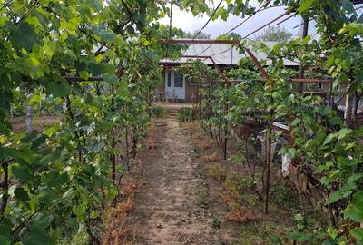 Casă cu 3 camere în Vânători - 2