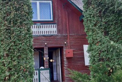 Cabana - Locuinta de vacanta langa Piatra Neamt - 2