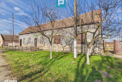 Spațiu comercial, de 225 mp, în Sânandrei - 20
