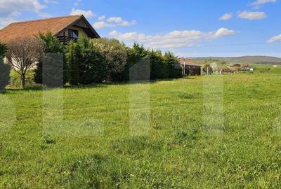 Teren intravilan 2.100 mp - Valea Crisului, la intrare in localitate