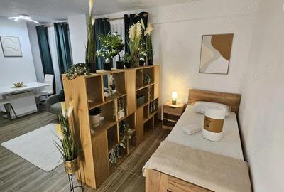 Apartament modern prima inchirere 1 camera, loc de parcare, Aradului - 7