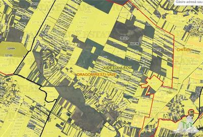 Teren intravilan 1.7 ha Dragomiresti Vale-Zurbaua, deschidere 34m la strada asfa - 12
