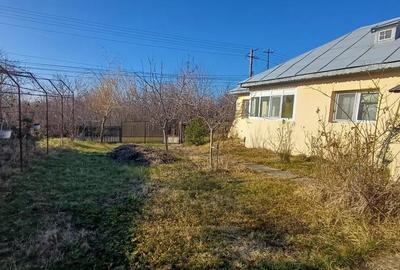 Casa sat NEDELEA + teren 2660 mp - 4