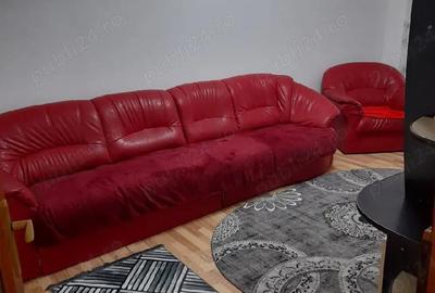 Apartament cu 2 camere decomandat în Broșteni - 4