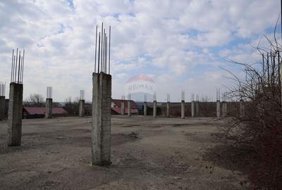 Teren Construcții intravilan de 6900 mp, în Șcheia - 4