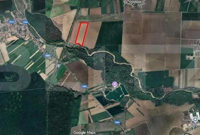 Teren agricol , Puchenii Mari, 90.000 mp - 3