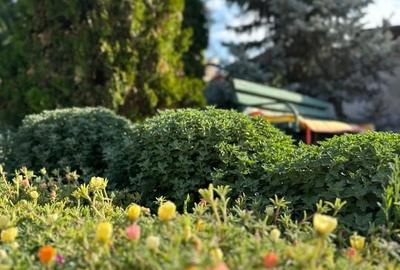 Casă individuală cu 6 camere cu Teren 4265 Mp în Izbiceni - 13