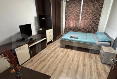 Apartament o camera, 36 mp, zona Tudor -Rodniciei - 12