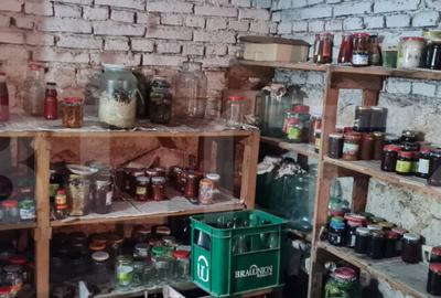 Oportunitate! Casa Bod pe un singur nivel, teren 980 mp pivn - 5