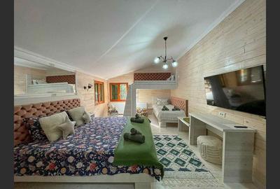 Casa de vacanta superba in Crivaia - 8