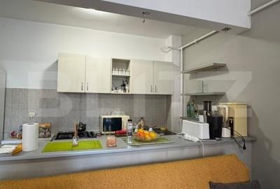 Apartament cu 2 camere, 50mp, decomandat, terasa spatioasa, zona Porii - 4