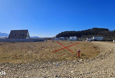 Spațiu comercial, în Sânpetru