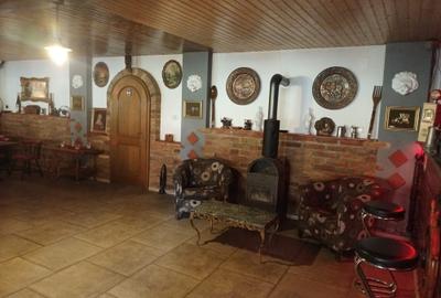 AFACERE SAU CASA DE VANZARE IN COMLOSU MIC AFACERE SAU CASA DE VANZARE IN COMLOSU MIC - 9