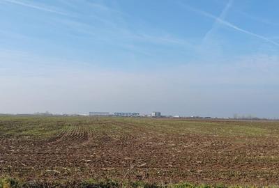 Teren agricol extravilan de 7100 mp, în Nojorid