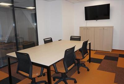 Birou, de 290.54998779297 mp, în Ultracentral - 4