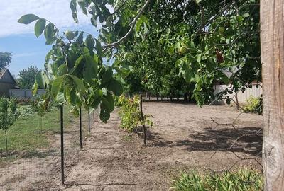 Casă cu 4 camere în Central - 2