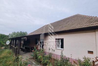 Casă cu 3 camere cu Teren 1800 Mp în Covaci - 11