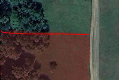 Teren vanzare sat Sultanu, comuna Visinesti, jud. Dambovita - 2