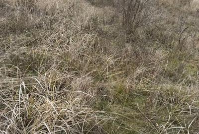 Teren de 665 mp, în Moșnița Nouă