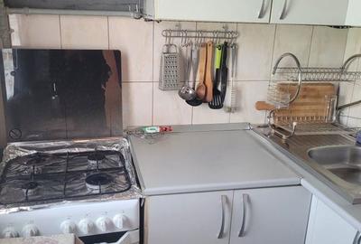 Apartament cu 2 camere în Săsar - 4