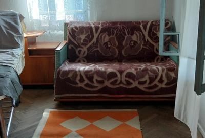 Casa batraneasca 20.000 euro - 1