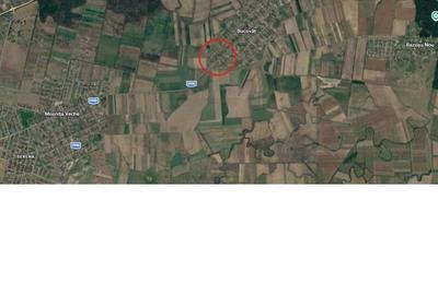 Teren Construcții de 883 mp, în Bucovăț (Remetea Mare) - 1