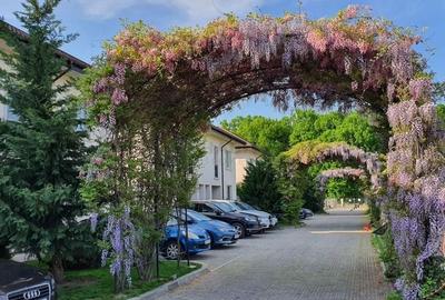 Avangarde Forest 4 - Vila 5 camere | Mobilata complet - 38