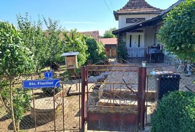 Casa de vanzare - 10