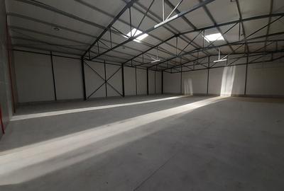 Doua hale lipite, total 1200mp, zona Drumul Intre Tarlale - 3