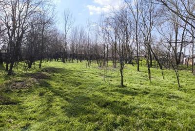 Spațiu comercial, în Zâmbreasca - 4