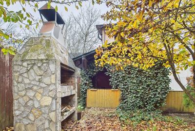 Branesti casa spatioasa de vanzare, gata de mutat, cu curte - 2