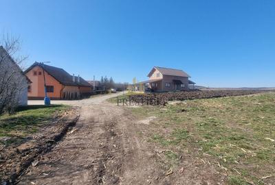 Teren Construcții intravilan de 450 mp, în Șura Mică - 3