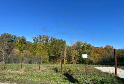 Teren de 969 mp, în Băbana - 2