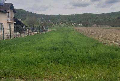 Teren de 2450 mp, în Băiculești - 8