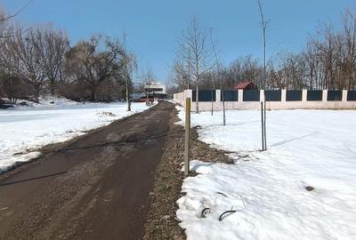 Teren de 800 mp, în Joița - 8