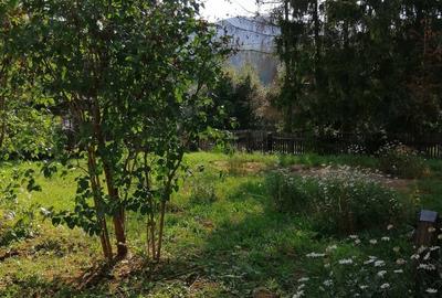 Casă cu 3 camere în Predeal - 6