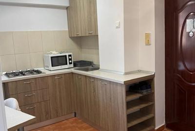 Inchiriere Garsoniera Dristor - 3