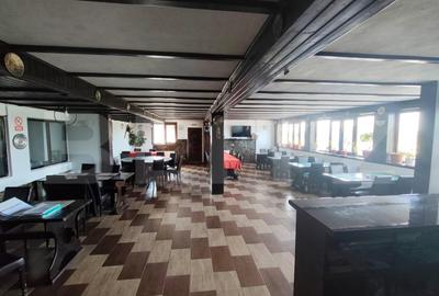 Spațiu comercial, de 150 mp, în Dragomirești - 2