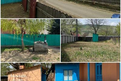 Casă cu 3 camere cu Teren 1947 Mp în Bâcu - 4