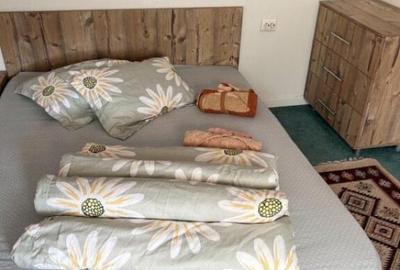 Cabana cu 4 dormitoare, foisor, ciubar, Statiunea Muntele Ba - 24