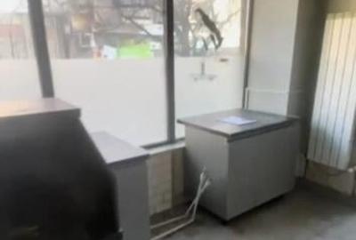 Spatiu comercial - Nicolina prima statie - la Bulevard - 2