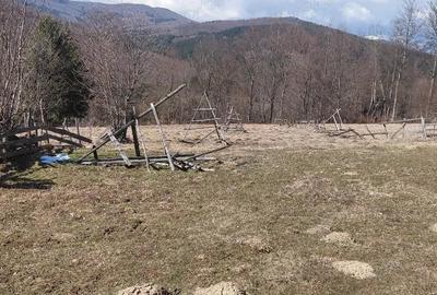 Teren de 1300 mp, în Valea Doftanei - 2