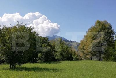 Teren 2500 mp, la strada, Ceahlau,, locatie perfecta - 3